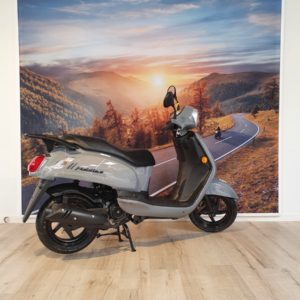Fiddle 2 – 25km/u Rich Grey
