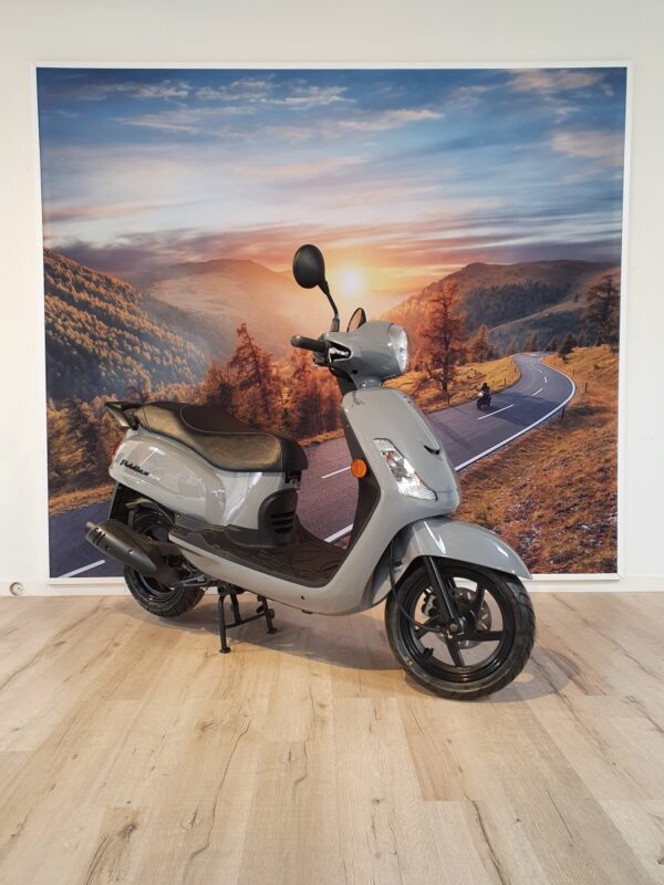 Fiddle 2 - 25km/u porsche grey