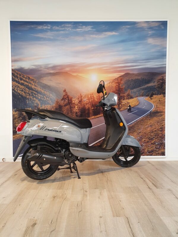 Fiddle 2 - 25km/u porsche grey