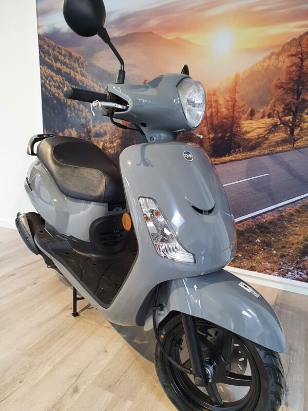 Fiddle 2 - 25km/u porsche grey