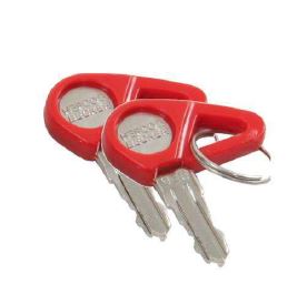 KEY CILINDERS WITH KEYS (2 KEYS)